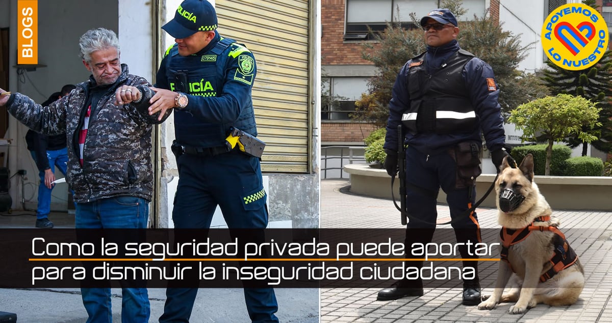 Como la seguridad privada puede aportar para disminuir la inseguridad ciudadana